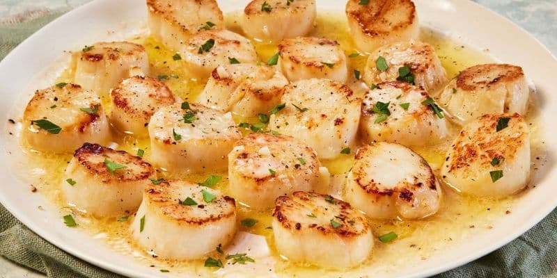 Garlic Scallop in Hot Pot / 干贝煲